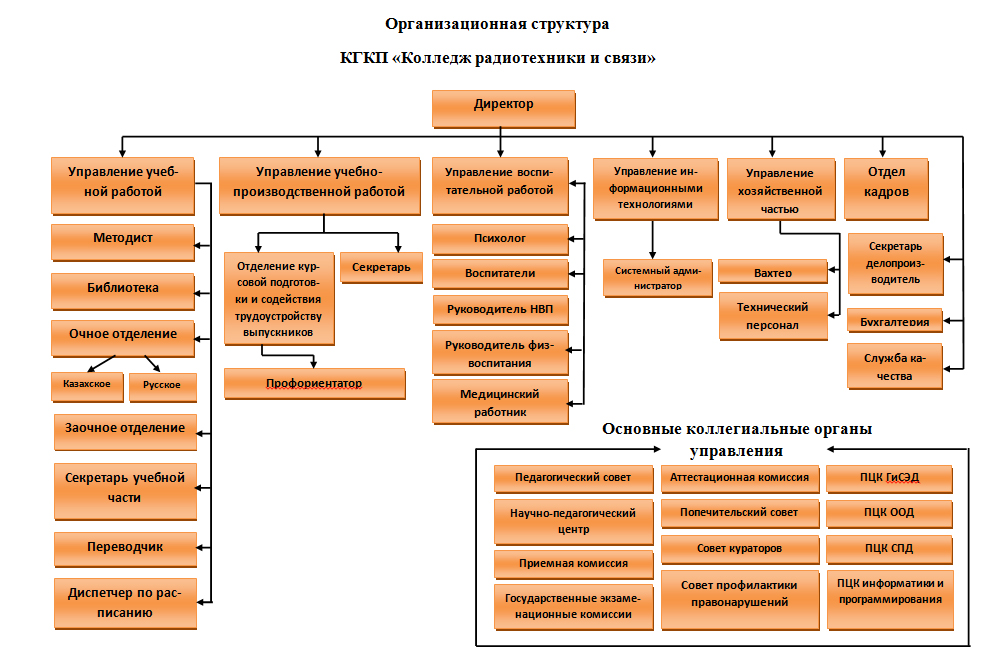 Организация колледжа. Организационная структура колледжа.